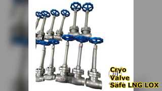 Cryo Globe Valve 5.0Mpa LNG LOX Aman