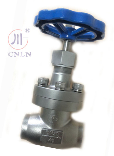 CNLN/Arman DJ61F-40P SS304/316 Cryogenic Globe Valve Short Stem-Type A ((DN10-100mm) untuk LNG/LOX/LN2 Systems.
