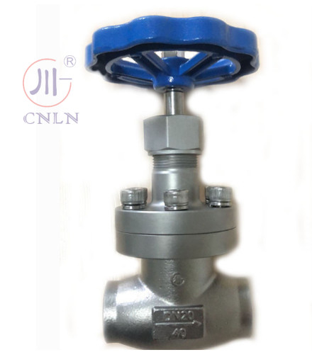 CNLN/Arman DJ61F-40P SS304/316 Cryogenic Globe Valve Short Stem-Type A ((DN10-100mm) untuk LNG/LOX/LN2 Systems.