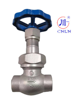 CNLN/Arman DJ61F-40P SS304/316 Cryogenic Globe Valve Short Stem-Type C ((DN10-50mm) untuk LNG/LOX/LN2 Systems.