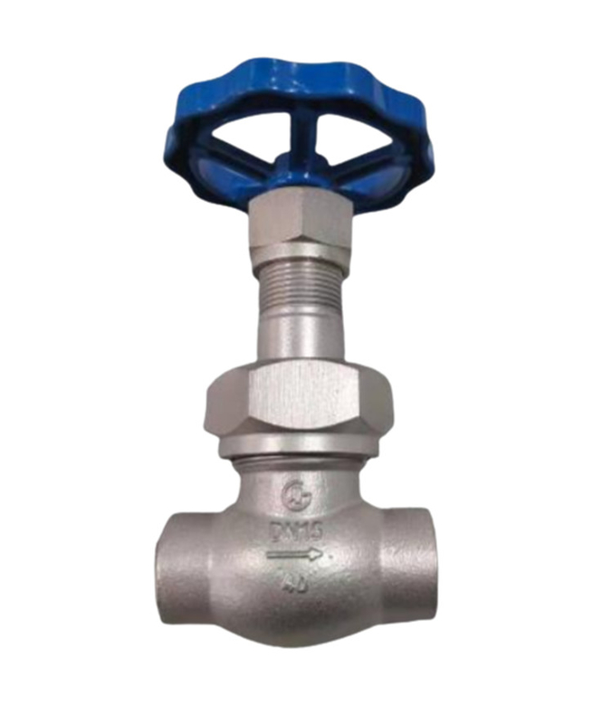 Sort stem LN2 DN25 Cryogenic Socket Weld Globe Valve DJ61F-40P untuk LNG/LOX/LN2/LAR/LCO2