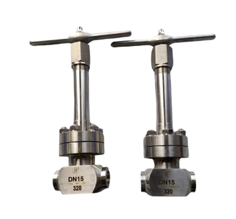Socket Welding Connection High Pressure Check Valve Untuk Gas Cairan Kriogenik Lox Lng Lin PN320 Valve