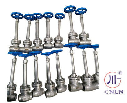Stainless Steel Low Temperature Globe Valve Short Stem Untuk LNG/LOX/LN2/LAR/LCO2