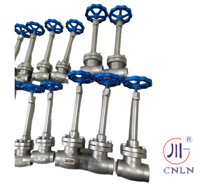 Cryogenic Globe Valve Stainless Steel CF8 CF3 Socket Welding -196°C sampai +80°C