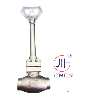 PN50 Cryogenic Globe Valve Stainless Steel 304/316 Socket Welding -196°C sampai +80°C
