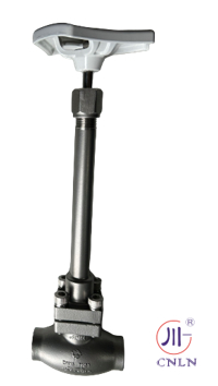 PN50 Cryogenic Globe Valve Stainless Steel 304/316 Socket Welding -196°C sampai +80°C