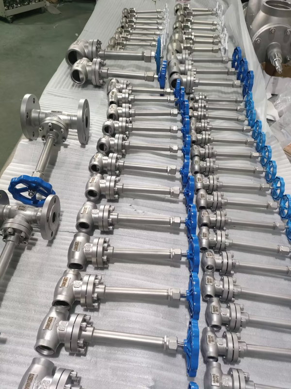 Katup Globe Kriogenik SS304 DN10-DN100 -196°C hingga +80°C LOX LIN LNG LAR