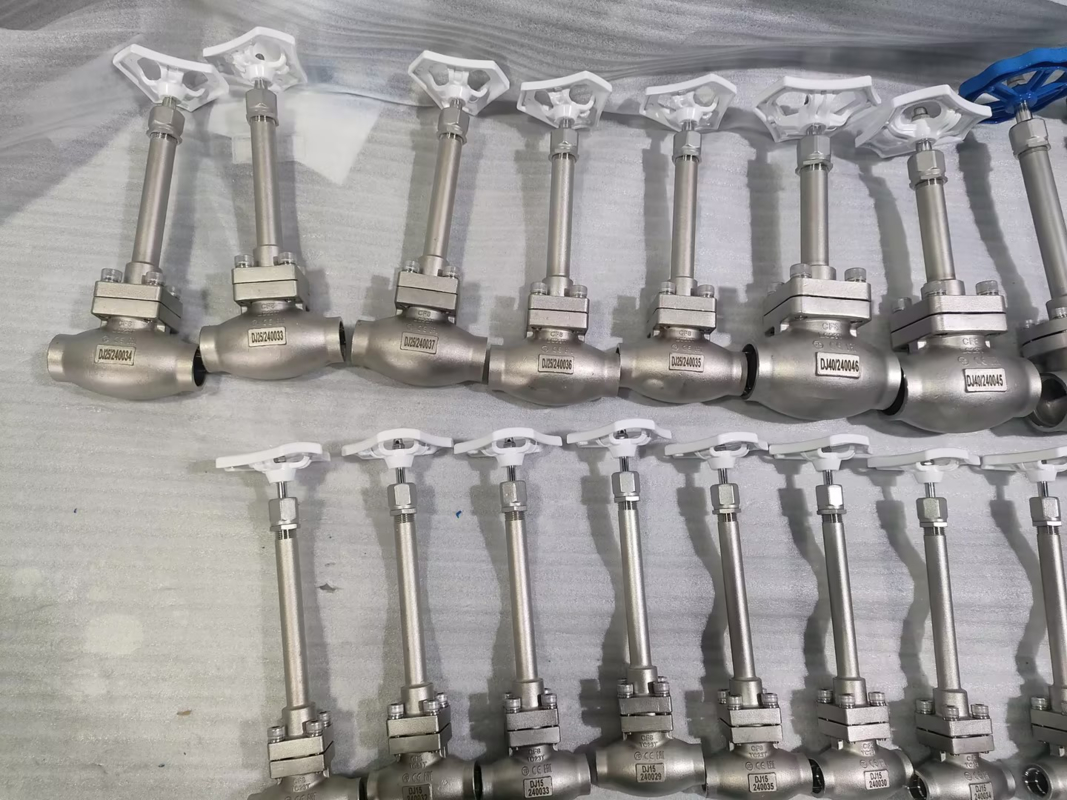 DN25 Cryogenic Globe Valve Stainless Steel 304/316 dengan PTFE Seal dan CF8/CF3 Valve Body untuk -196°C sampai +80°C Aplikasi