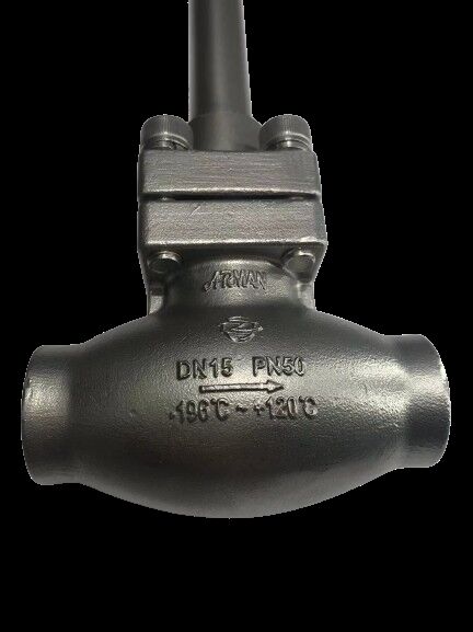 Katup Globe Kriogenik Baja Tahan Karat 304/316 dengan Tekanan Maksimum 5.0Mpa dan Rentang Suhu -196°C hingga +80°C